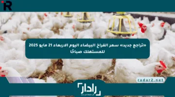«تراجع جديد» سعر الفراخ البيضاء اليوم الأربعاء 21 مايو 2025 للمستهلك صباحًا